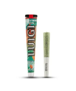 Luigi Twisted Cotton Mouth Fattone